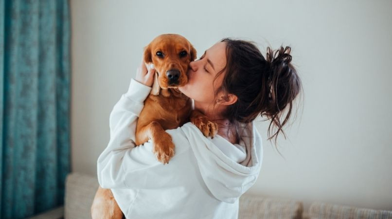 Formation Start : avant de commencer !