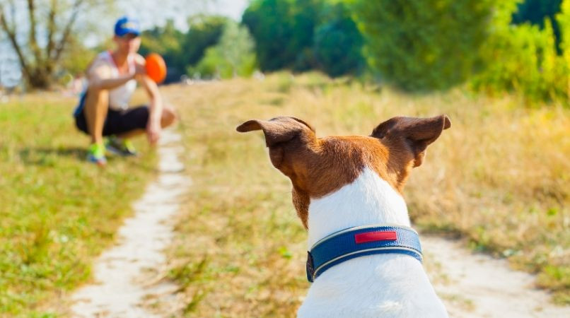 Développer l’imagination : la seule limite à l’éducation