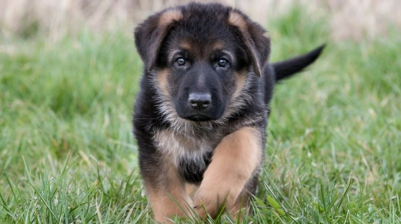 Le mythe des 5 minutes par mois d’âge