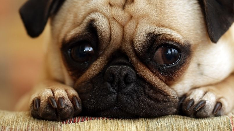 Attention aux fausses idées !