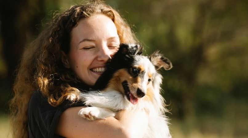 Dans quel but prendre un chien ?