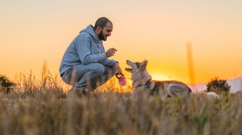Êtes-vous prêt à avoir un chien ?