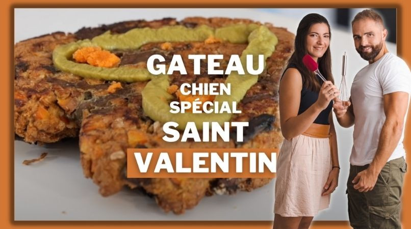 Gâteau pour chien : recette Saint-Valentin