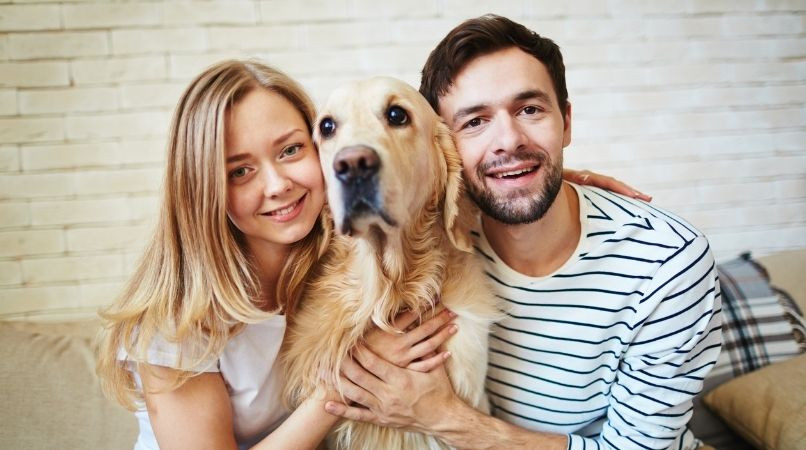 Comment éduquer un chien à plusieurs, l’erreur à ne pas commettre !