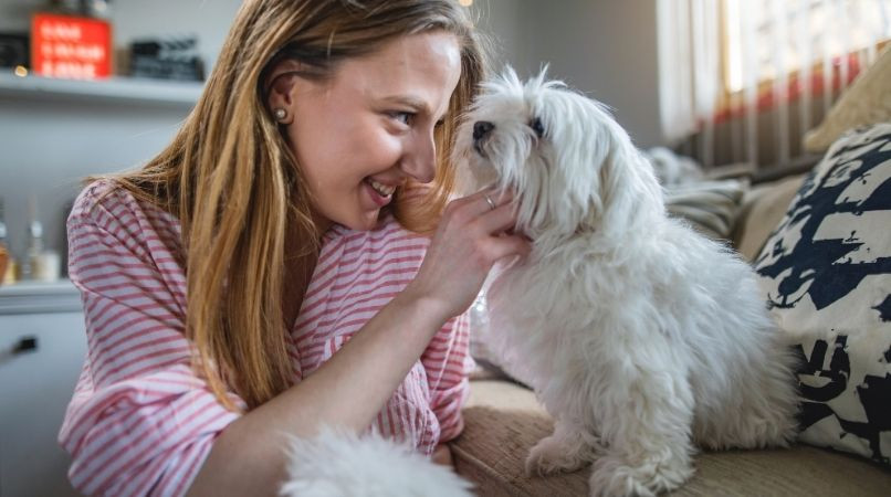 Un exercice révélateur de la relation entre un maître et son chien