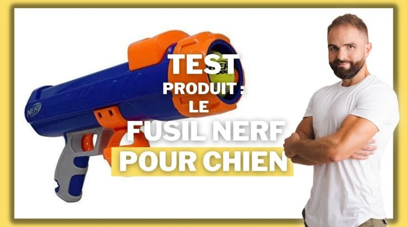 Le fusil NERF pour jouer et s’amuser avec un chien !