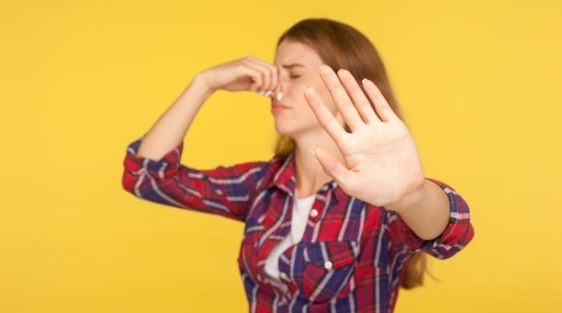 Mon chien pète beaucoup : est-ce normal ?