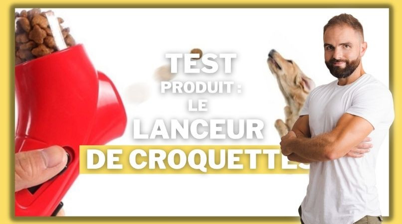 Test du lanceur de croquettes pour chien !