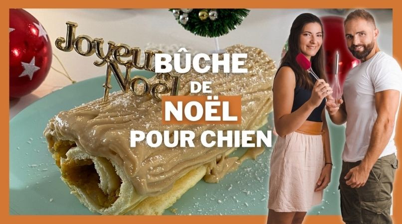 Une recette de bûche de Noël pour chien !
