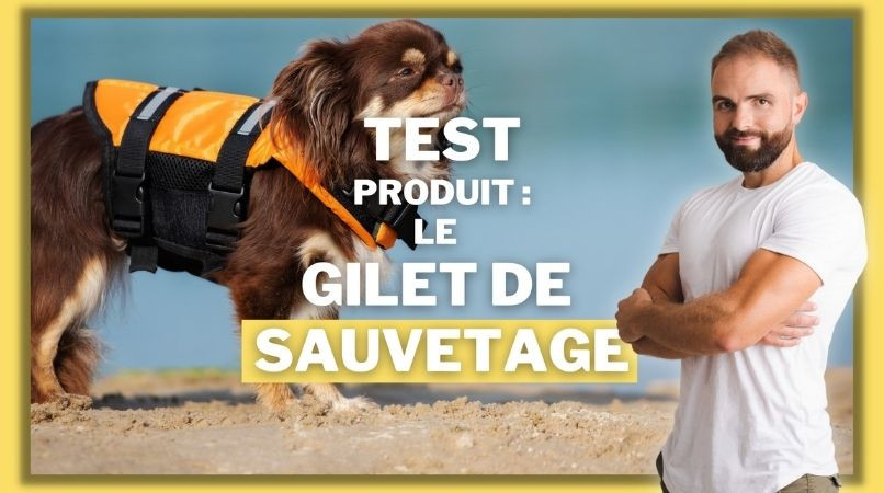 Le gilet de sauvetage pour chien