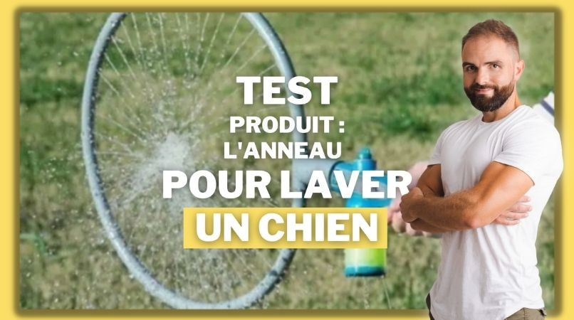 L’anneau de lavage pour chien