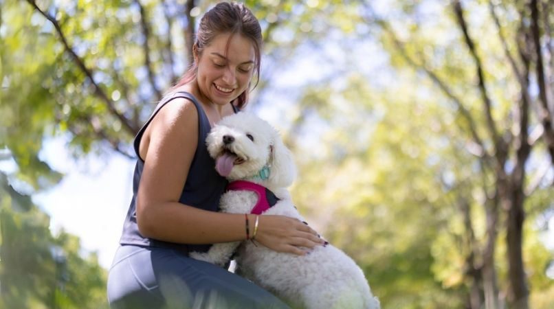 En quoi consiste la formation d’éducateur canin comportementaliste ?