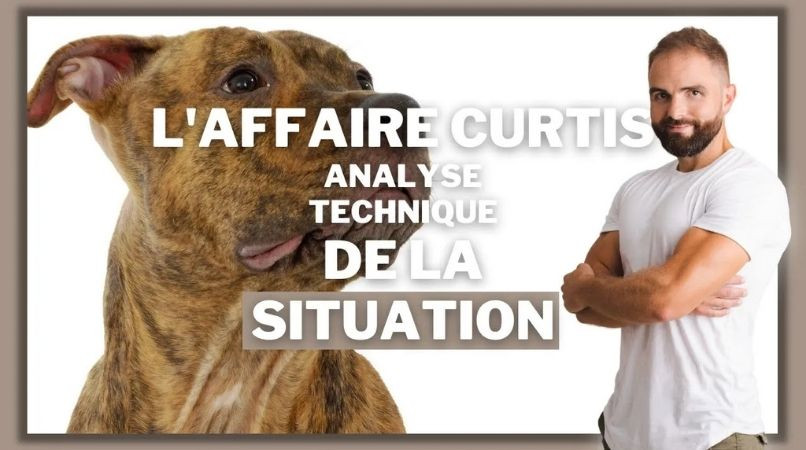 L’affaire Curtis, analyse technique de la situation