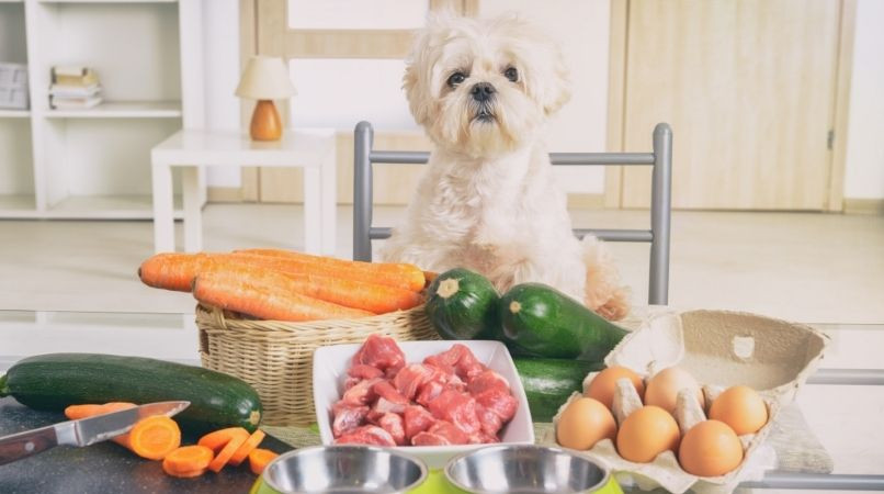 Quels sont les aliments toxiques pour le chien ?