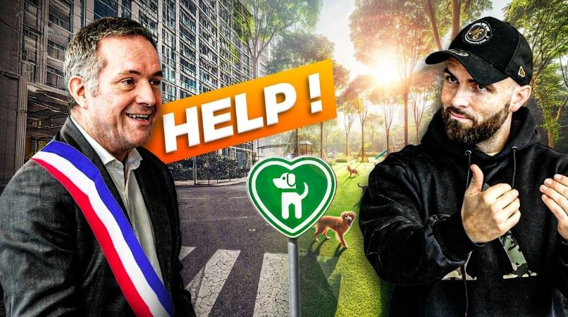 Un chien au comportement parfait en ville, c’est possible !