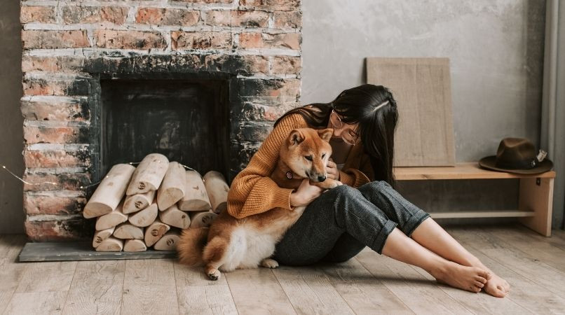 Éducation : l’importance d’écouter son chien !