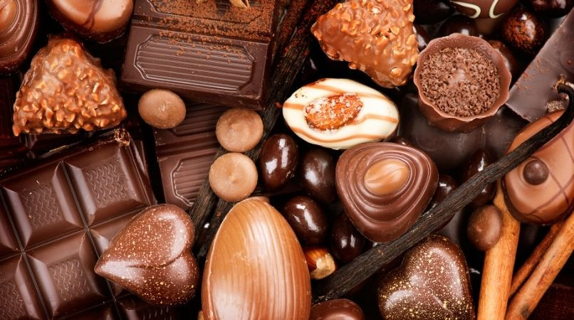 Pourquoi le chocolat est-il toxique pour le chien ?
