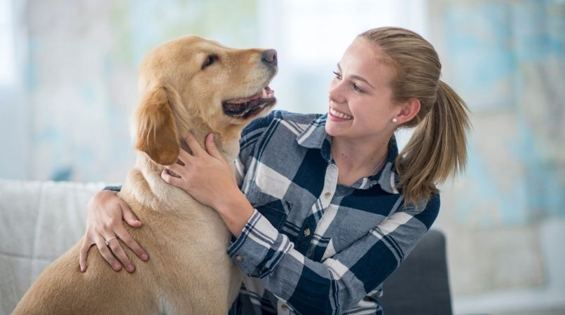 Lire son chien, une vraie tactique de dressage ?