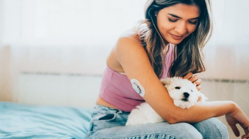 Des chiens formés pour détecter le diabète