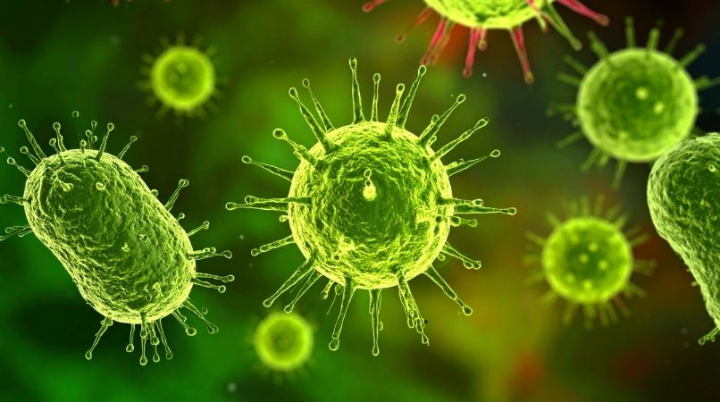 Qu’est-ce qu’une maladie zoonose ?