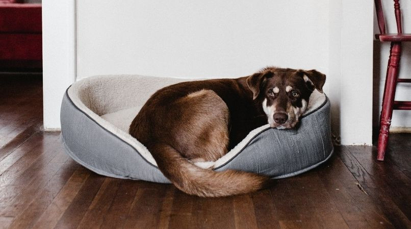 À quoi sert l’ordre « au panier » ?