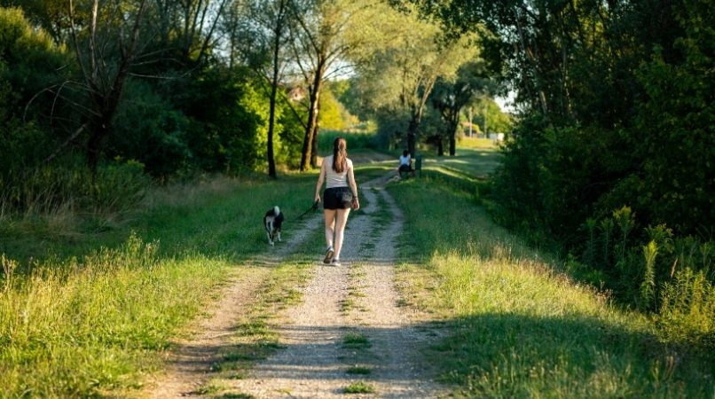 Les erreurs de dressage à ne pas commettre en longe