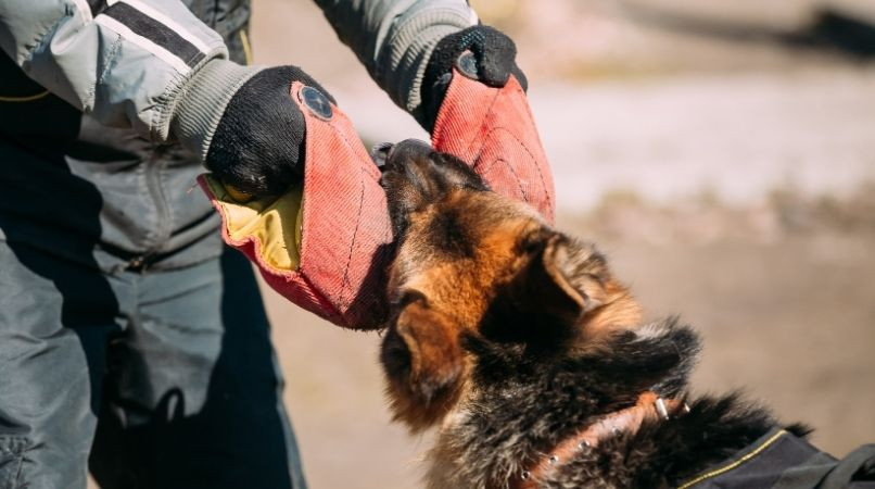Le sport de mordant est-il une bonne idée ?