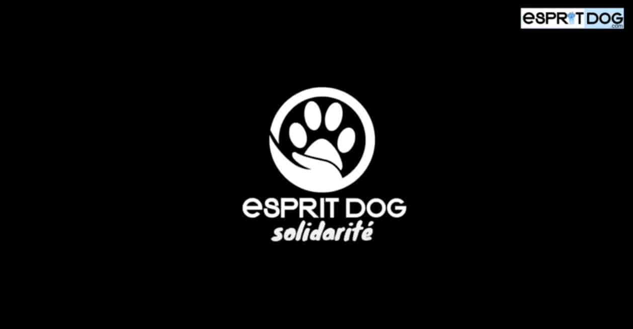 Esprit Dog Solidarité édition 2023