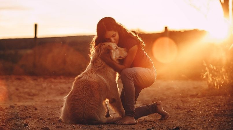 Comment être un bon maître pour son chien ?