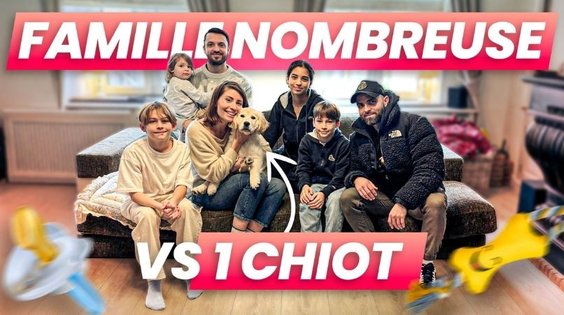 Comment éduquer un chiot avec 4 enfants sans chaos à la maison ?