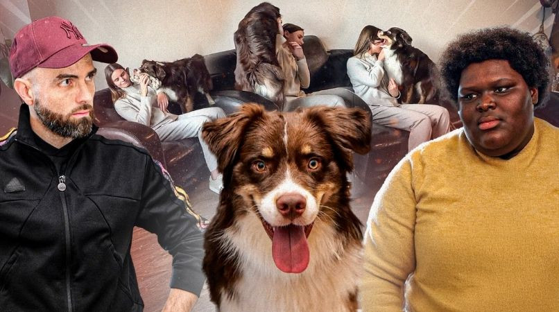 Je viens de l’adopter, je ne m’en sors pas : que faire avec un Berger Australien débordant d’énergie ?