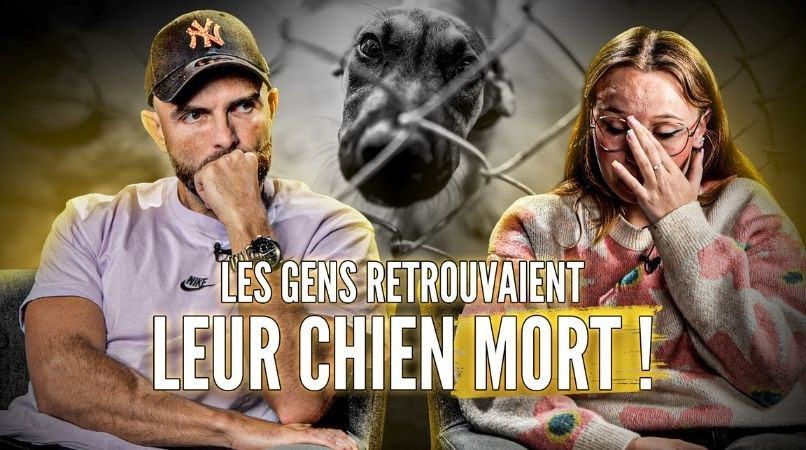 « Ça m’a traumatisée ! » : Le chenil de l’horreur raconté de l’intérieur