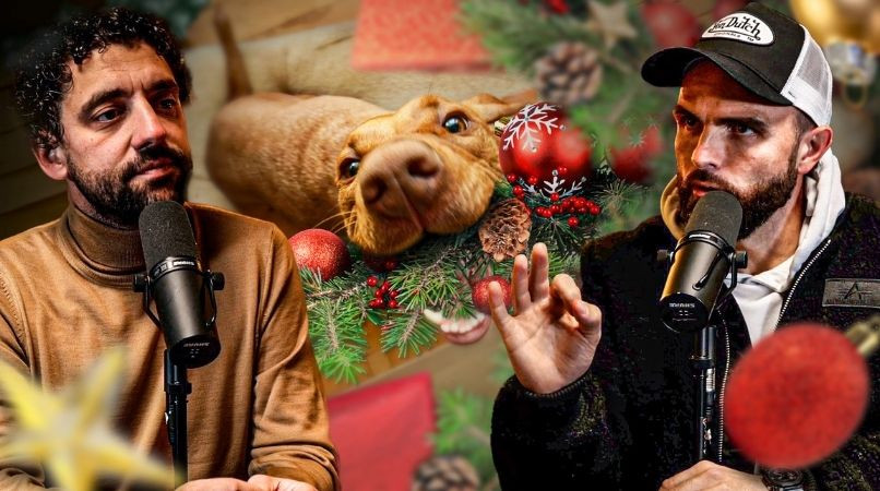 Tous les tips pour un Noël réussi avec son chien