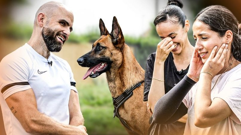 Comment canaliser un Malinois incontrôlable sans s’épuiser ni crier ?