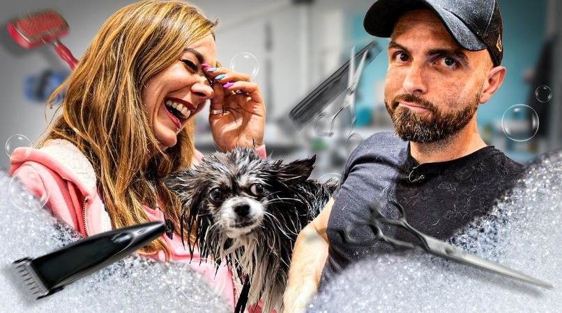 Tony dans la peau d’un toiletteur : coulisses, limites et vérités qui bousculent