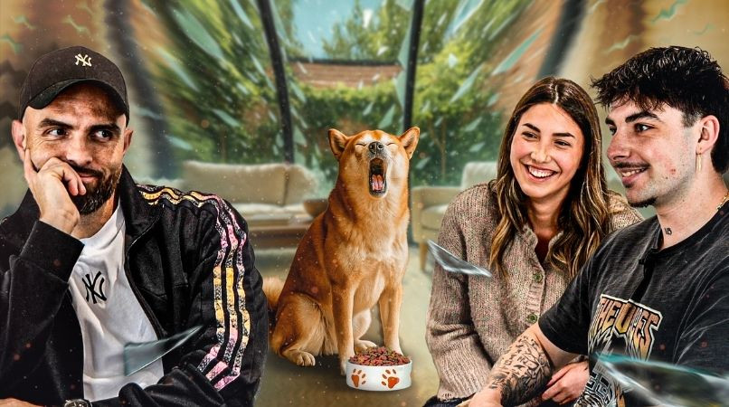 Mon Shiba a un problème avec la nourriture : comment apaiser un chien à l’heure du repas ?