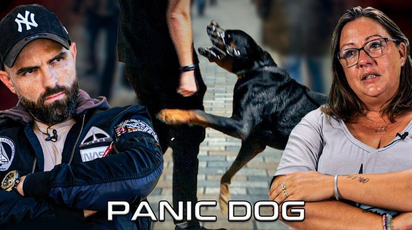 Rottweiler agressif : comment Shrek, chien à la dernière chance, a retrouvé la paix