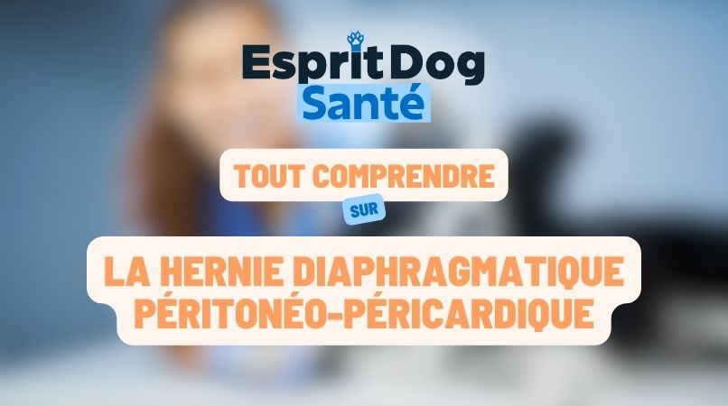 La hernie diaphragmatique péritonéo-péricardique